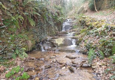 Tour Wandern Coupiac - coupiac in live - Photo