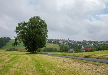 Percorso A piedi Zettlitz - Rundweg Zettlitz – Auenbachtal – Zettlitz - Photo