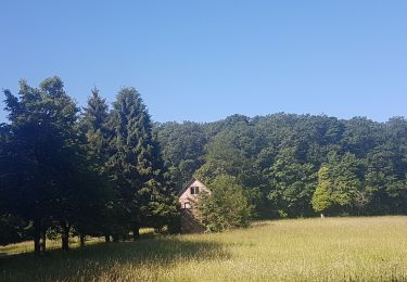 Tour Wandern Wasselnheim - Geisweg - Elmerforst -Westhoffen - Photo
