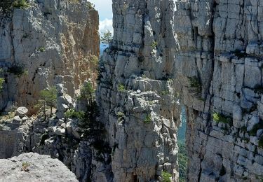 Randonnée Marche Castellane - les cadieres de Brandis  - Photo