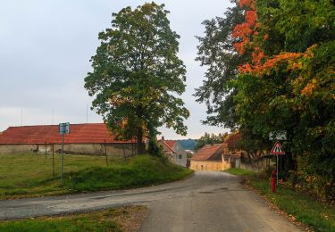 Tocht Te voet Sedlice - [Ž] Láz - Milavy - sedlická obora - Photo