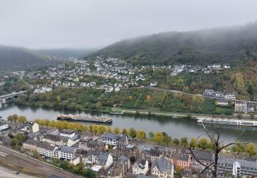 Excursión Senderismo Cochem - Cochem et son point de vue - Photo