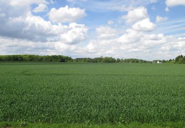 Tocht Te voet Neukirchen-Vluyn - Littard Rundweg A4 - Photo