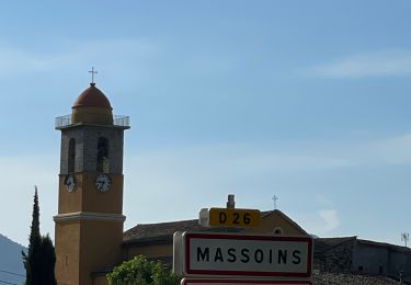 Trail Walking Massoins - Pointe des 4 cantons - Photo