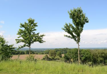 Tour Zu Fuß Sonsbeck - Xantener Straße Rundweg A3 - Photo