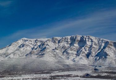 Trail On foot  - planinarska staza Mirkovići - Brezovac - Photo