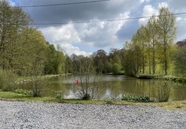 Randonnée Marche Villers-la-Ville - BE-Villers-la-Ville - Le Bois Pigeolet et le Châtelet - VLV 7  - Photo
