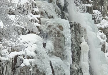 Percorso Marcia La Valla-en-Gier - Le saut du gier gelé  - Photo