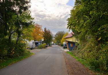 Trail On foot Ruppichteroth - Hatterscheid Rundweg A2 - Photo