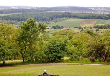 Percorso A piedi Großbettlingen - blaue Raute Roßdorf - Großbettlingen - Grafenberg - Kapishäusern - Jusi - Photo