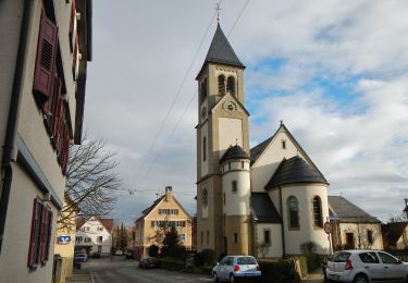 Tour Zu Fuß Tübingen - Panoramaweg - Photo