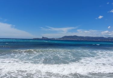 Excursión Senderismo Bandol - bandol St cyr les lecques  - Photo