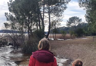 Trail Walking Lacanau - moutchik - Photo
