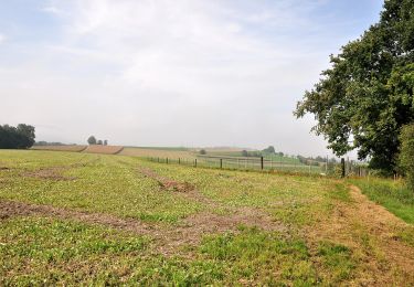 Tocht Te voet Volken - Volken - Andelfingen - Photo