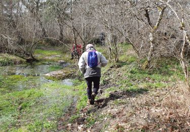 Trail Walking Recloses - Recloses 2023 - Photo