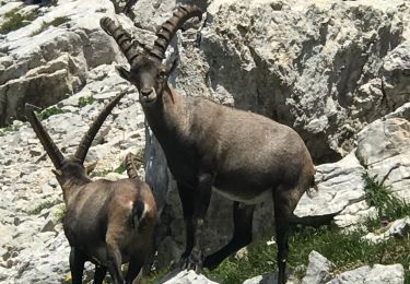 Randonnée Marche Villard-de-Lans - lac de la moucherolle - Photo