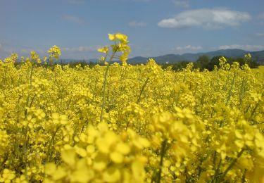 Excursión A pie okres Prievidza - Náučný banský turistický chodník - Photo