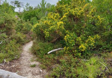 Tocht Stappen Vieux-Boucau-les-Bains - jour 10 le 04/06/2023 - Photo