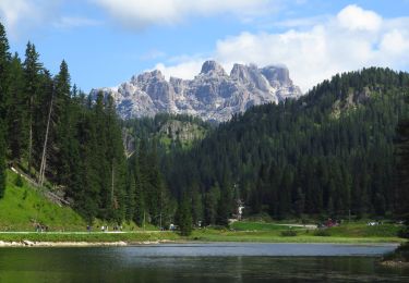 Excursión Senderismo Auronzo di Cadore - Giro del Lago di Musurina - Photo