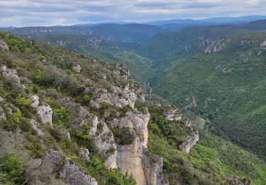 Trail Walking Millau - le chaos de Caoussou - Photo