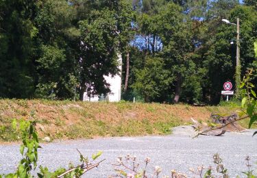 Percorso Marcia Plédran - En suivant l'URNE et en passant par le BOIS. - Photo