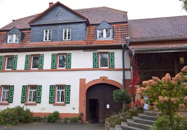 Tocht Te voet Groß-Umstadt - Rundwanderweg Groß-Umstadt 1: Umstädter Panoramarunde - Photo