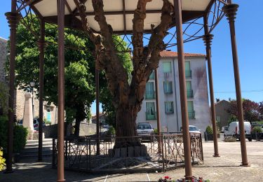 Tour Wandern Le Caylar - Le caylar le cros  - Photo