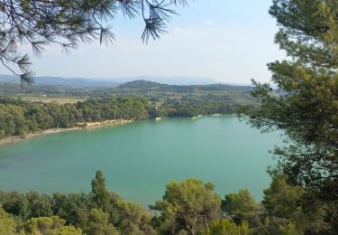 Trail Walking La Motte-d'Aigues - La Bonde - Photo