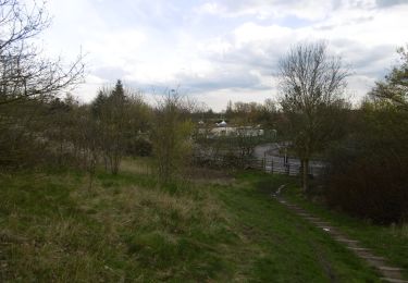 Percorso A piedi Walsall - Forest of Mercia Way - Photo