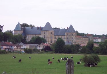 Tocht Te voet Villécloye - La Lorraine Gaumaise - Photo