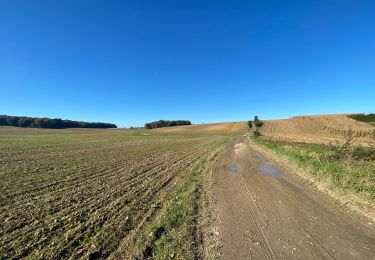 Tour Wandern Gerpinnes - Wagnèe Fromiée  - Photo