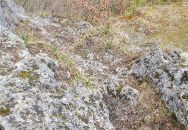 Tocht Stappen Tintigny - Bellefontaine,  Gros Cron, Baraque Payat - Photo