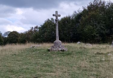 Tour Wandern Valserhône - Cuvéry avec Ophélie  - Photo