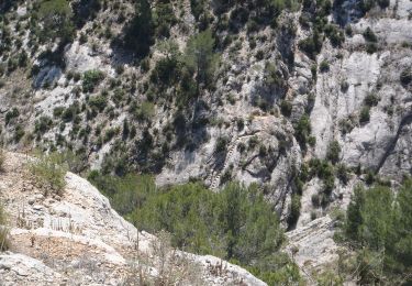 Trail On foot Le Tholonet - Escaliers de la Petite Mer : - Photo