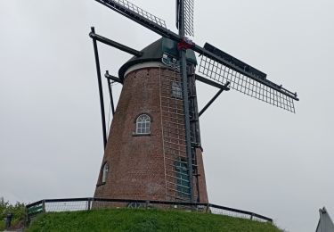 Tour Wandern Sluis - petit chat des sables - Photo