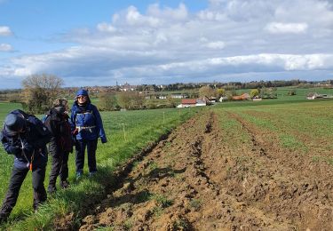 Tocht Stappen Belle - boucle 15km Bailleul - Photo