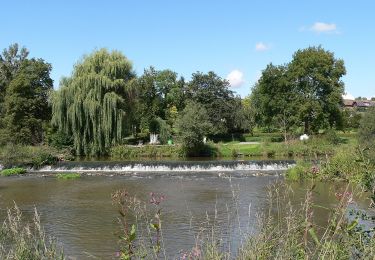 Randonnée A pied Trendelburg - Trendelburg - Eberschütz, E2 - Photo