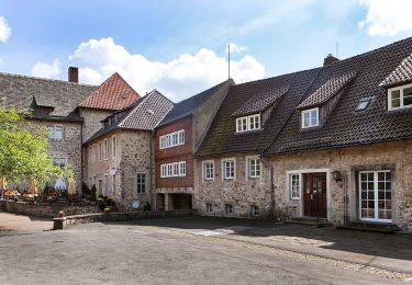 Randonnée A pied Dörentrup - A4 Drecken und Huppigsberg - Photo