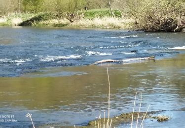 Trail On foot Bouillon - 2021-04-27 15:42:43 - Photo