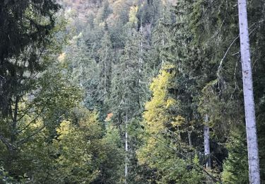 Percorso Marcia Saint-Mury-Monteymond - Lac Blanc - Photo