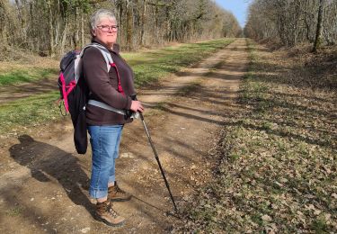 Tour Wandern Bruley - Bruley Lucey - Photo