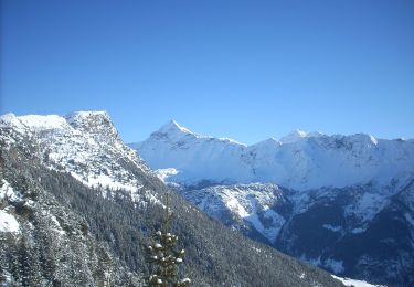 Tour Zu Fuß Chiesa in Valmalenco - IT-334 - Photo