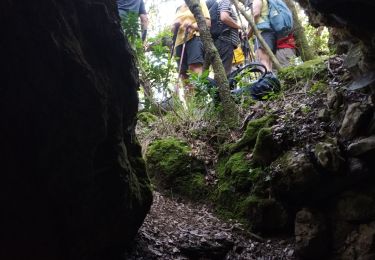 Trail Walking Solliès-Toucas - Sioux blanc  - Photo