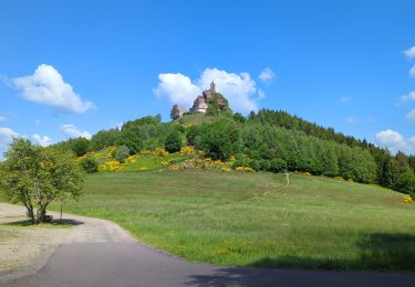 Trail Walking Dabo - Dabo - Col de la Schleif - Roskopf - Photo