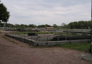 Excursión A pie Oisterwijk - Wandelroute Duurzaamheidsvallei - Photo