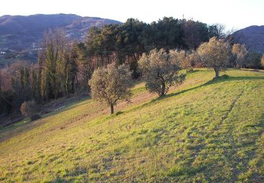 Tocht Te voet Capannori - Sentiero n.16 