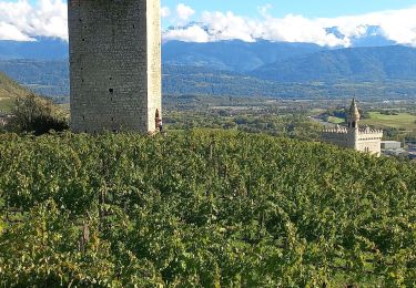 Randonnée Marche Chignin - rando dans les vignes autour de chignin - Photo