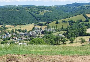 Trail Walking Menet - 20210614 Menet - Photo