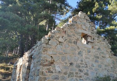 Randonnée Marche Corte - boucle corte-arche-refuge de forca-corte - Photo