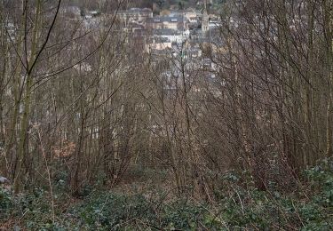 Trail Nordic walking Montivilliers - Montivilliers- Circuit du Calvaire - Photo